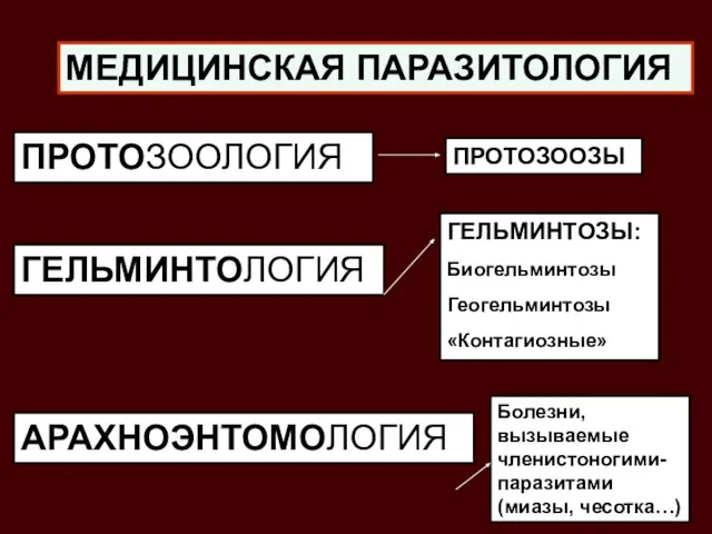 МЕДИЦИНСКАЯ ПАРАЗИТОЛОГИЯ ПРОТОЗООЛОГИЯ ГЕЛЬМИНТОЛОГИЯ АРАХНОЭНТОМОЛОГИЯ ПРОТОЗООЗЫ ГЕЛЬМИНТОЗЫ: Биогельминтозы Геогельминтозы «Контагиозные» Болезни, вызываемые членистоногими-паразитами (миазы, чесотка…)