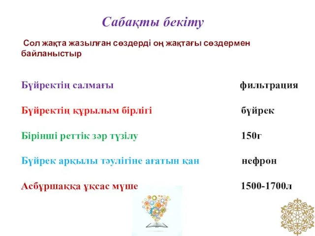 Сабақты бекіту Сол жақта жазылған сөздерді оң жақтағы сөздермен байланыстыр Бүйректің