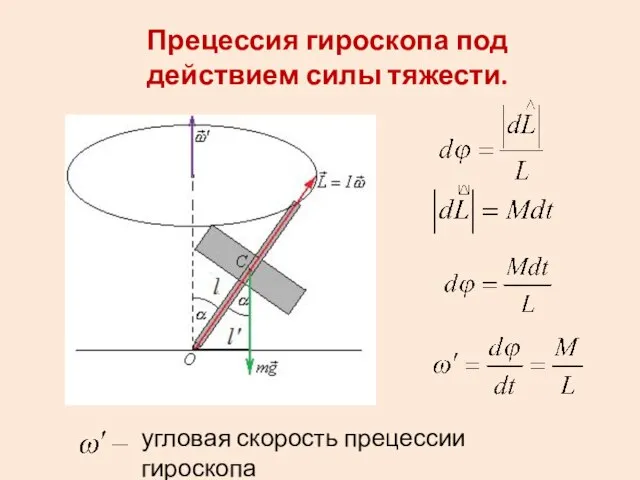 Прецессия гироскопа под действием силы тяжести. угловая скорость прецессии гироскопа