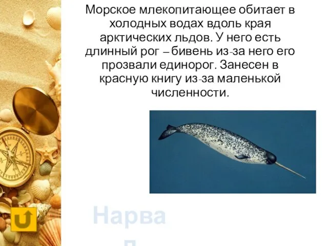 Морское млекопитающее обитает в холодных водах вдоль края арктических льдов. У