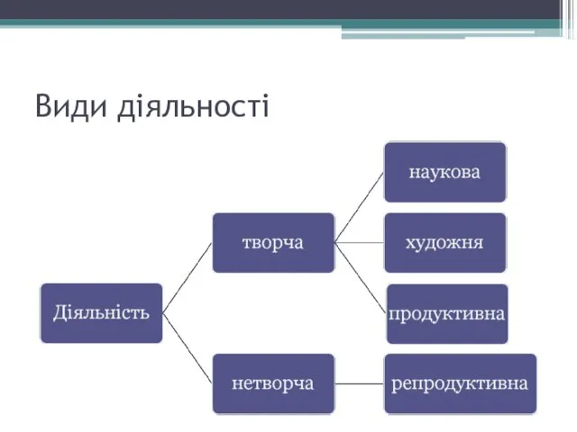 Види діяльності