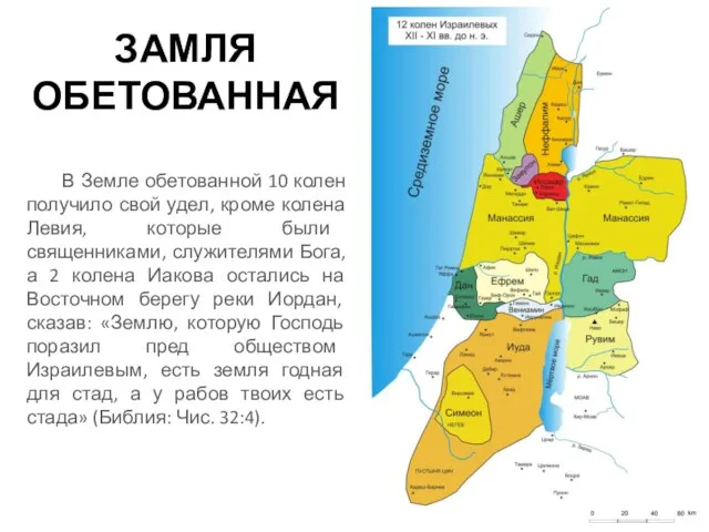 ЗАМЛЯ ОБЕТОВАННАЯ В Земле обетованной 10 колен получило свой удел, кроме