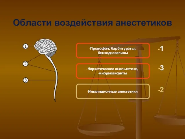 Области воздействия анестетиков Пропофол, барбитураты, бензодиазепины Наркотические анальгетики, миорелаксанты Ингаляционные анестетики 1 3 2