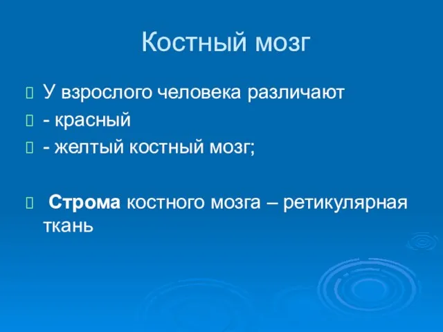 Костный мозг У взрослого человека различают - красный - желтый костный