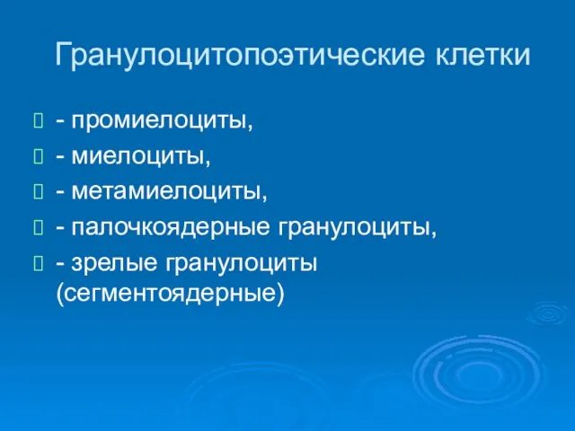 Гранулоцитопоэтические клетки - промиелоциты, - миелоциты, - метамиелоциты, - палочкоядерные гранулоциты, - зрелые гранулоциты (сегментоядерные)