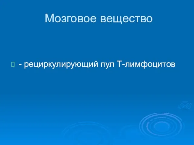 Мозговое вещество - рециркулирующий пул Т-лимфоцитов