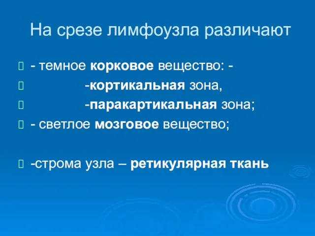 На срезе лимфоузла различают - темное корковое вещество: - -кортикальная зона,