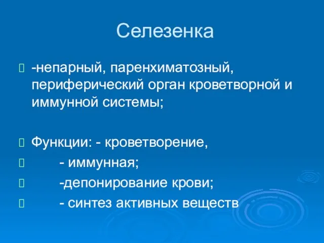 Селезенка -непарный, паренхиматозный, периферический орган кроветворной и иммунной системы; Функции: -