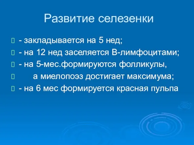 Развитие селезенки - закладывается на 5 нед; - на 12 нед