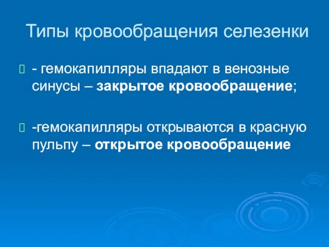 Типы кровообращения селезенки - гемокапилляры впадают в венозные синусы – закрытое