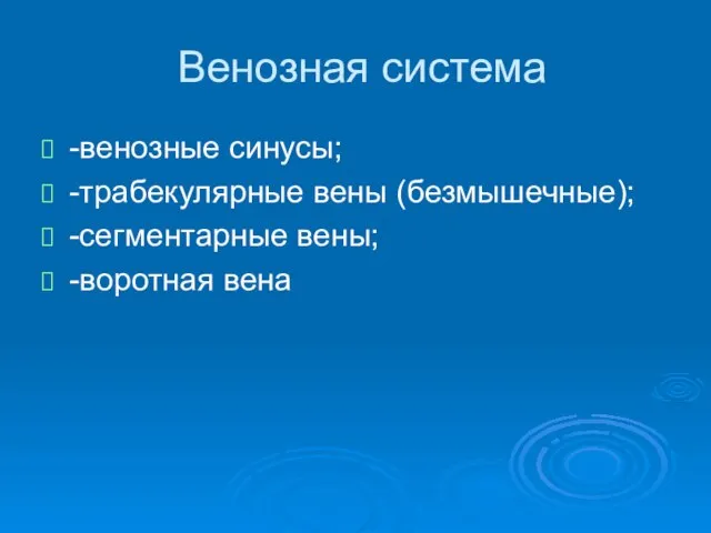 Венозная система -венозные синусы; -трабекулярные вены (безмышечные); -сегментарные вены; -воротная вена