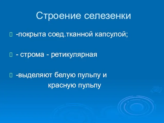 Строение селезенки -покрыта соед.тканной капсулой; - строма - ретикулярная -выделяют белую пульпу и красную пульпу