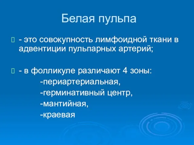 Белая пульпа - это совокупность лимфоидной ткани в адвентиции пульпарных артерий;