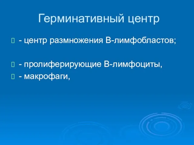 Герминативный центр - центр размножения В-лимфобластов; - пролиферирующие В-лимфоциты, - макрофаги,