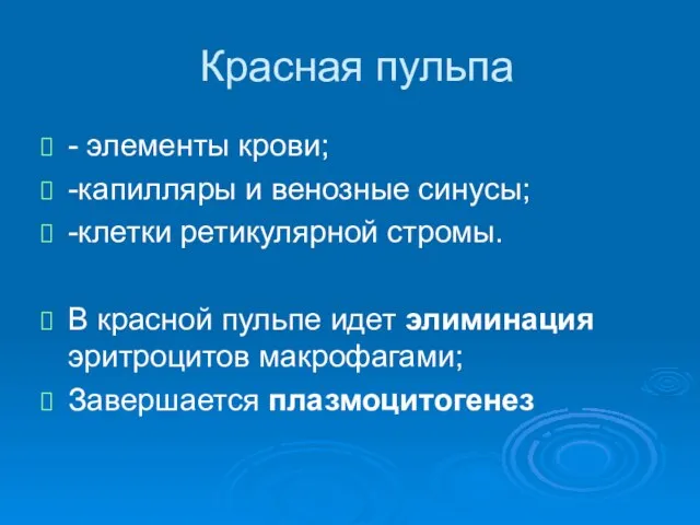 Красная пульпа - элементы крови; -капилляры и венозные синусы; -клетки ретикулярной