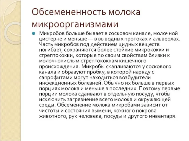 Обсемененность молока микроорганизмами Микробов больше бывает в сосковом канале, молочной цистерне