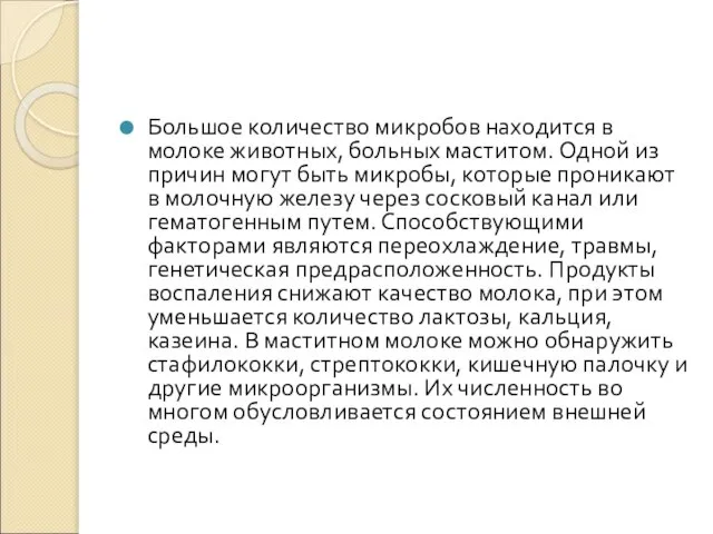 Большое количество микробов находится в молоке животных, больных маститом. Одной из