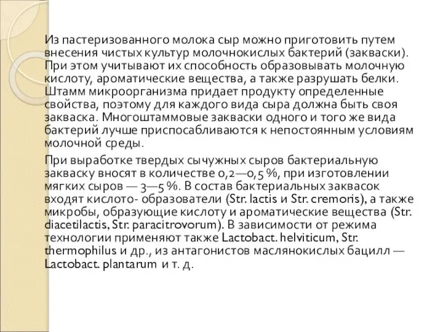 Из пастеризованного молока сыр можно приготовить путем внесения чистых культур молочнокислых