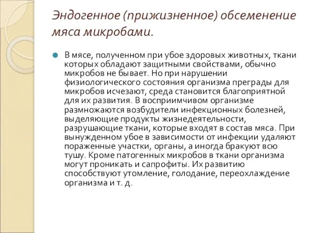 Эндогенное (прижизненное) обсеменение мяса микробами. В мясе, полученном при убое здоровых