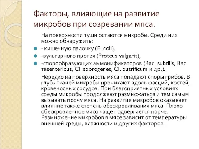 Факторы, влияющие на развитие микробов при созревании мяса. На поверхности туши