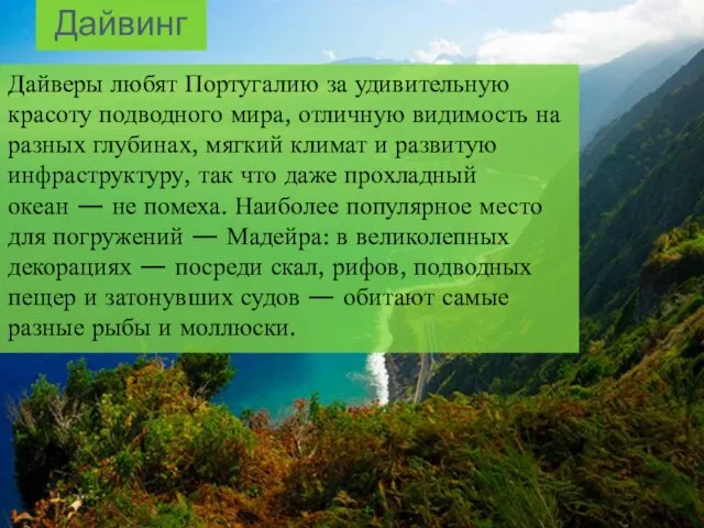 Дайвинг Дайверы любят Португалию за удивительную красоту подводного мира, отличную видимость