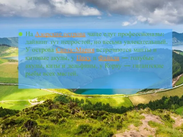 На Азорские острова чаще едут профессионалы: дайвинг тут непростой, но весьма