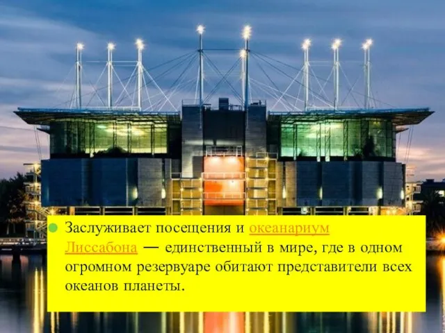 Заслуживает посещения и океанариум Лиссабона — единственный в мире, где в