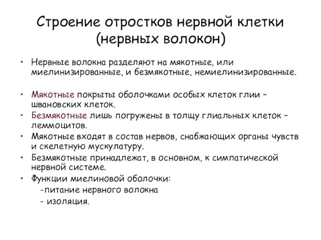 Строение отростков нервной клетки (нервных волокон) Нервные волокна разделяют на мякотные,