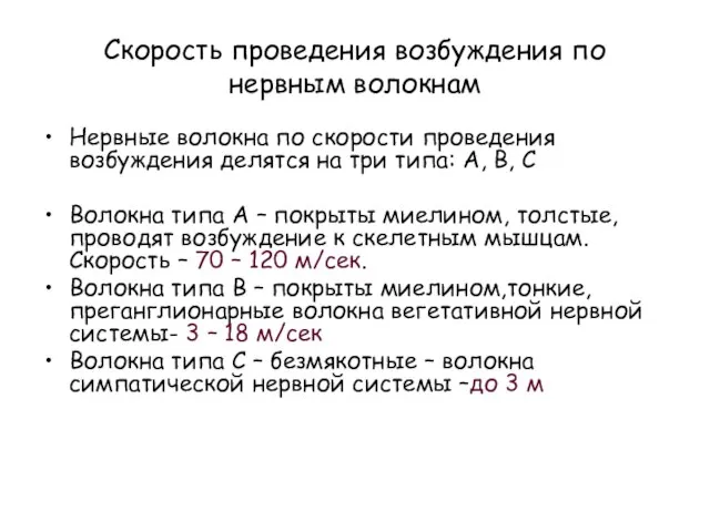 Скорость проведения возбуждения по нервным волокнам Нервные волокна по скорости проведения