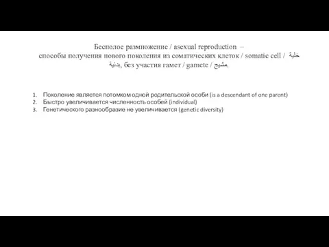 Бесполое размножение / asexual reproduction – способы получения нового поколения из