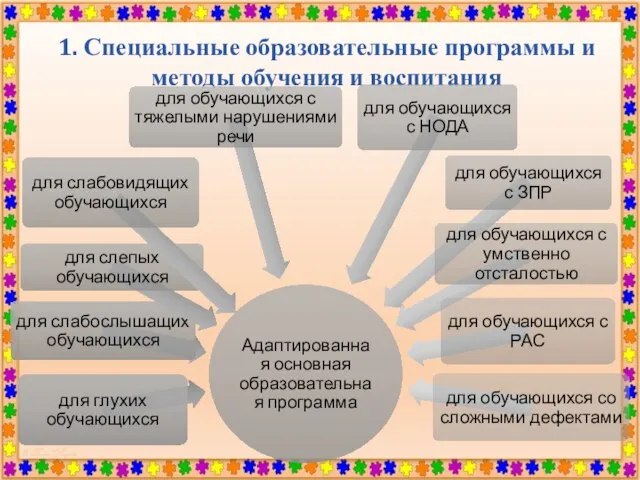 1. Специальные образовательные программы и методы обучения и воспитания