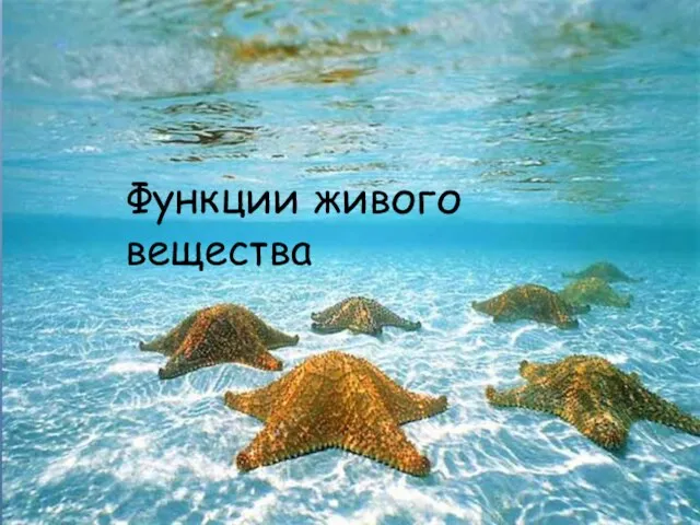 Функции живого вещества