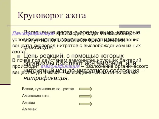 Круговорот азота Включение азота в соединения, которые могут использоваться организмами –