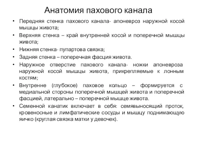 Анатомия пахового канала Передняя стенка пахового канала- апоневроз наружной косой мышцы