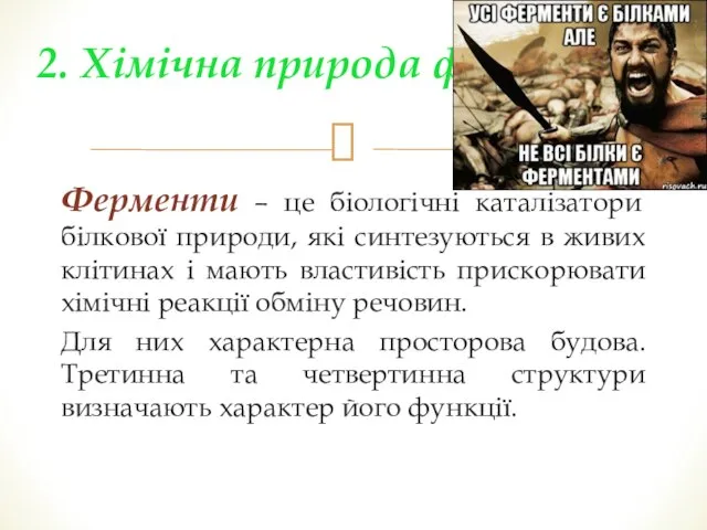 Ферменти – це біологічні каталізатори білкової природи, які синтезуються в живих