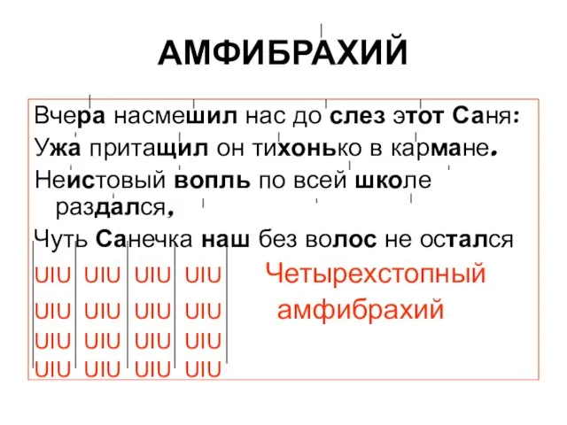 АМФИБРАХИЙ Вчера насмешил нас до слез этот Саня: Ужа притащил он