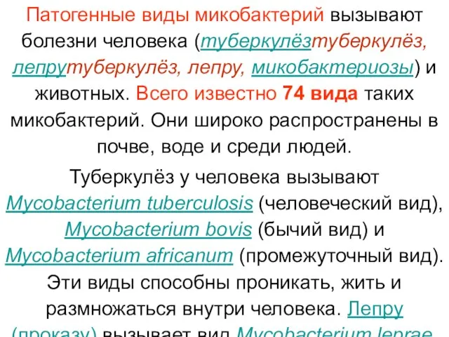 Патогенные виды микобактерий вызывают болезни человека (туберкулёзтуберкулёз, лепрутуберкулёз, лепру, микобактериозы) и