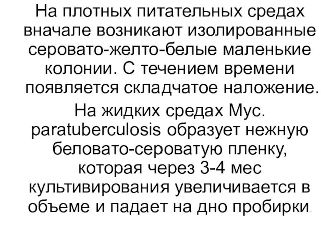 На плотных питательных средах вначале возникают изолированные серовато-желто-белые маленькие колонии. С