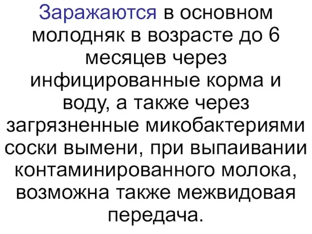 Заражаются в основном молодняк в возрасте до 6 месяцев через инфицированные