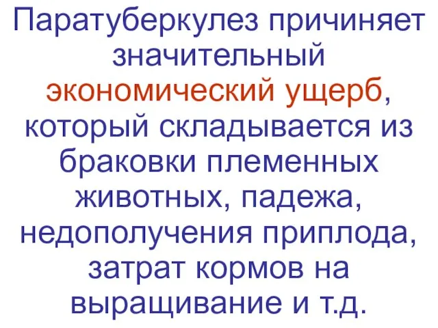 Паратуберкулез причиняет значительный экономический ущерб, который складывается из браковки племенных животных,