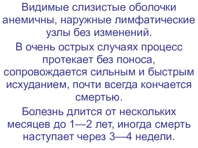 Видимые слизистые оболочки анемичны, наружные лимфатические узлы без изменений. В очень