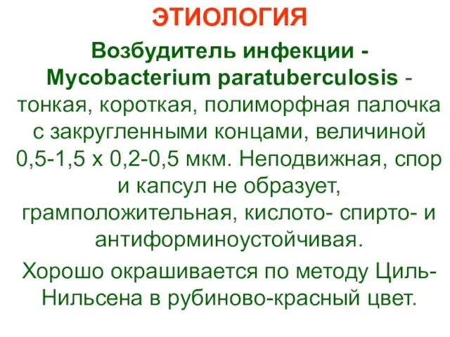 ЭТИОЛОГИЯ Возбудитель инфекции - Mycobacterium paratuberculosis - тонкая, короткая, полиморфная палочка