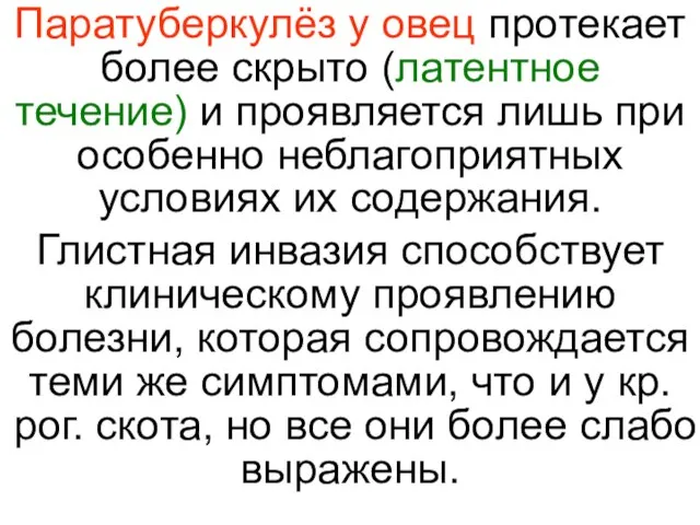 Паратуберкулёз у овец протекает более скрыто (латентное течение) и проявляется лишь