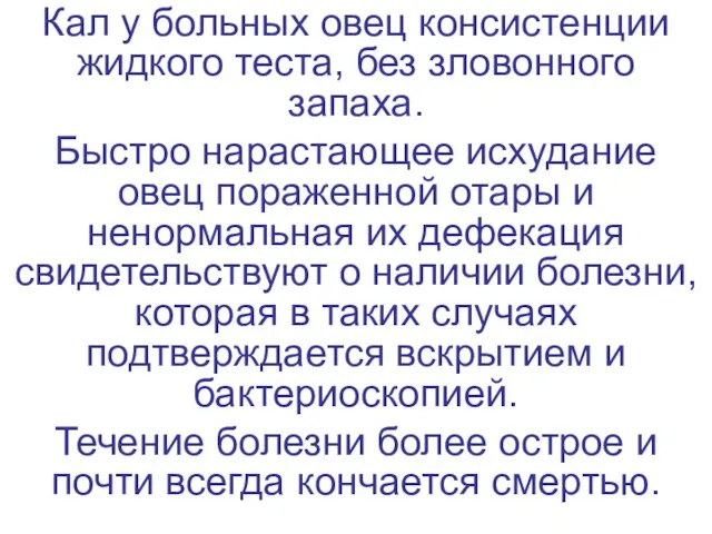 Кал у больных овец консистенции жидкого теста, без зловонного запаха. Быстро