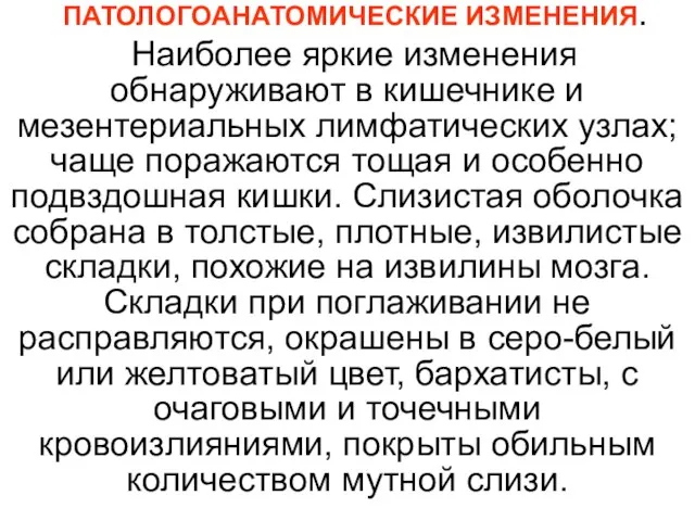 ПАТОЛОГОАНАТОМИЧЕСКИЕ ИЗМЕНЕНИЯ. Наиболее яркие изменения обнаруживают в кишечнике и мезентериальных лимфатических