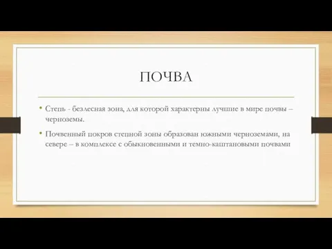 ПОЧВА Степь - безлесная зона, для которой характерны лучшие в мире