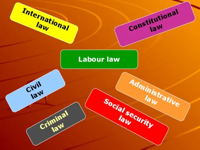 Labour law Criminal law Social security law Civil law Administrative law Constitutional law International law
