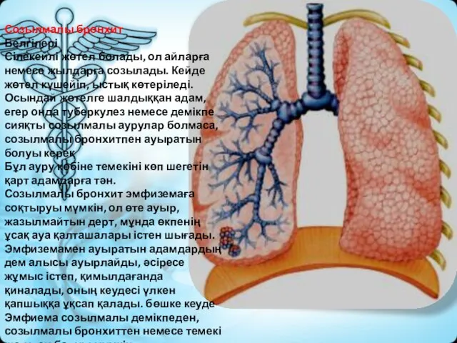 Созылмалы бронхит Белгілері Сілекейлі жөтел болады, ол айларға немесе жылдарға созылады.