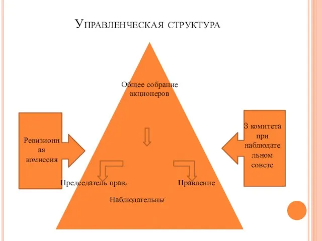 Управленческая структура Ревизионная комиссия 3 комитета при наблюдательном совете