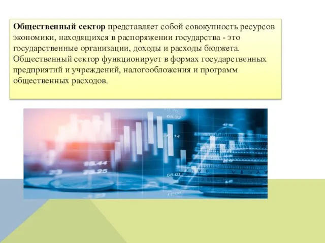 Общественный сектор представляет собой совокупность ресурсов экономики, находящихся в распоряжении государства